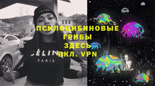 ГАЛЛЮЦИНОГЕННЫЕ ГРИБЫ Богородицк