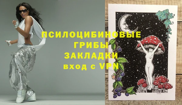 apvp Магадан