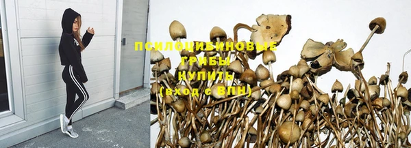 ГАЛЛЮЦИНОГЕННЫЕ ГРИБЫ Богородицк