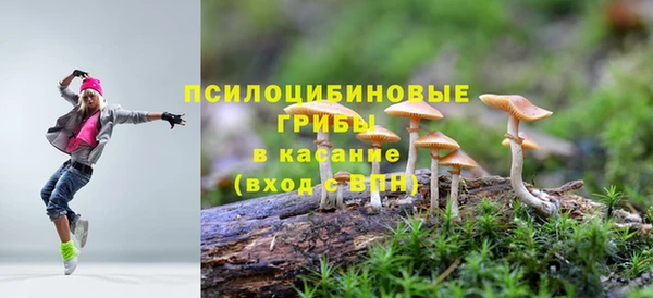 прущая мука Армянск