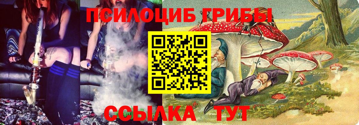 цены наркотик  Галлюциногенные грибы мухоморы  Псилоцибиновые грибы Psilocybe  Вход с VPN  Кировск 